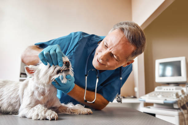 Best Emergency Broken Tooth Repair in South Gate, CA